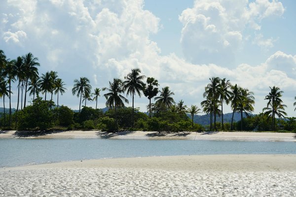 Ultimate Scottish Highlands Getaways: Ideal Rentals for an Unforgettable Fishing Adventure